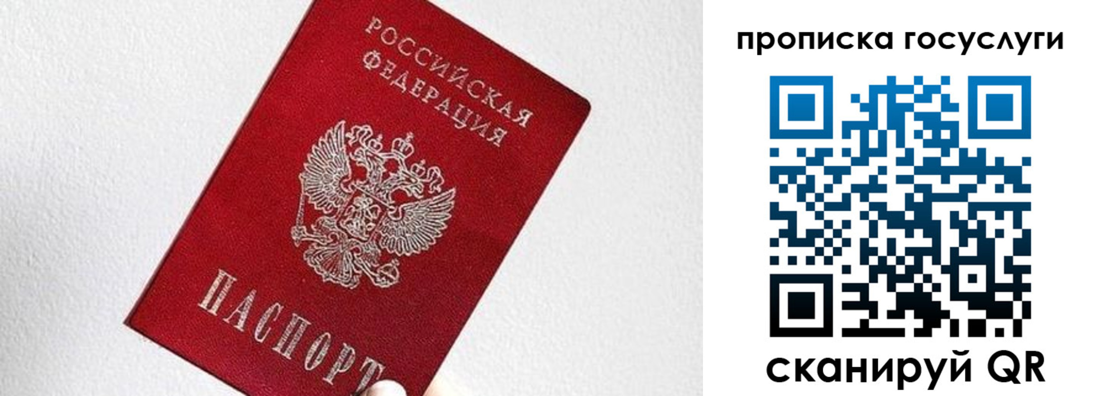 прописка законно в Апатитах